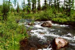 �.����������� - 1-� ����